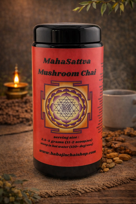 MahaSattva Mushroom Chai